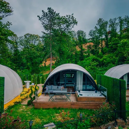 住宿加早餐酒店 Snail House 萨潘贾