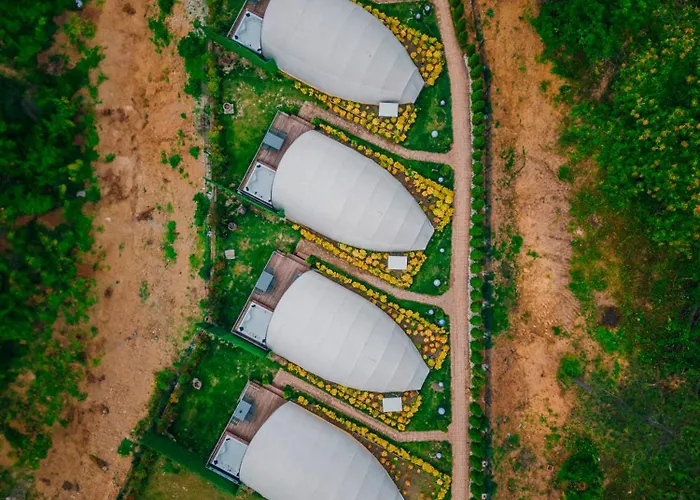 Snail House Bed & Breakfast